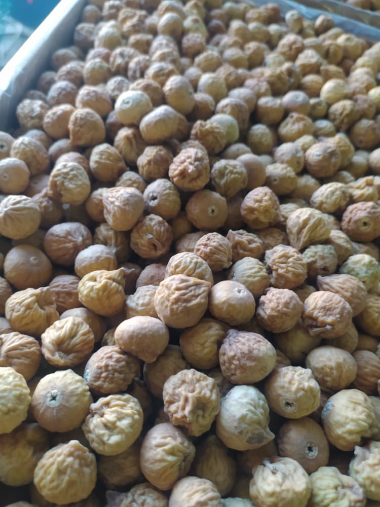 تولید و فراوری انجیر خشک فارس + فروش ویژه